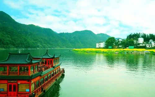 创新科技全自动